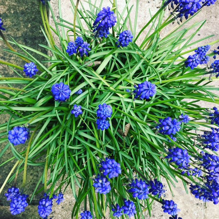 d8806f79-2d8d-4f78-b106-162ae5e81d94